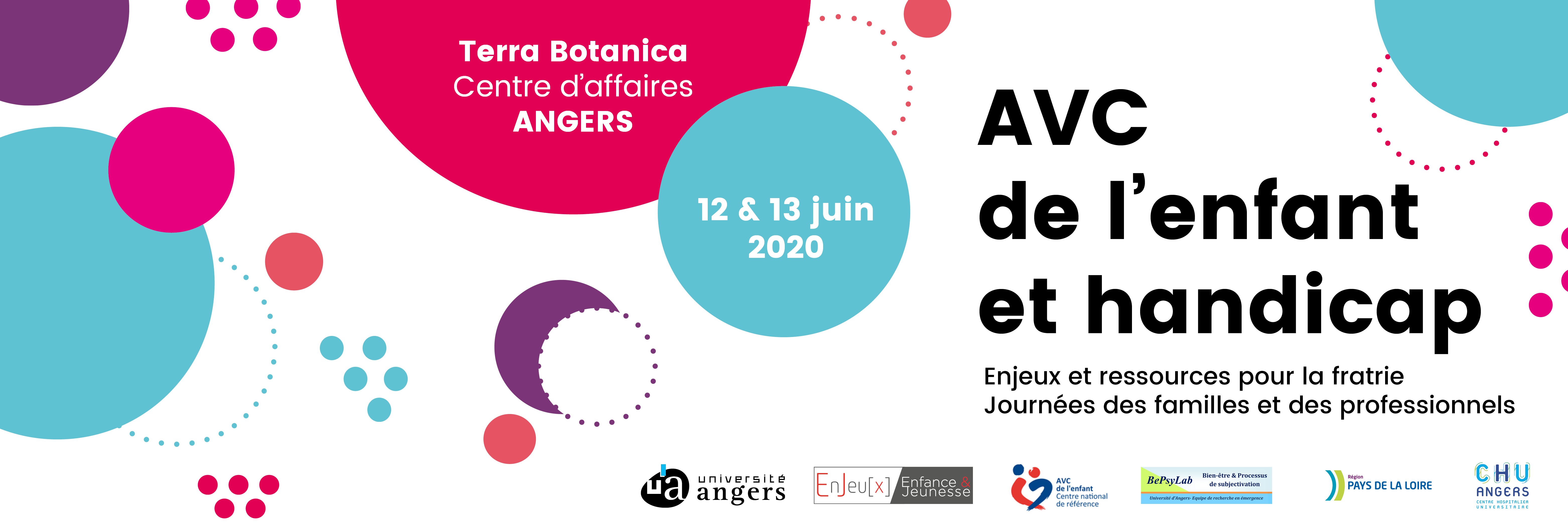 AVC ET HANDICAP DE L'ENFANT : JOURNÉE DES FRATRIES 2020